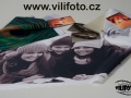 Vilifoto.cz_signmaking_tisk_12